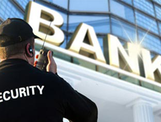Bankaların Güvenlik Hizmeti sunma konusunun sınırları üzerine bir inceleme